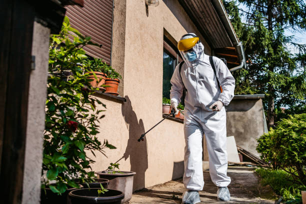 Flea Control Services in Hartville, OH