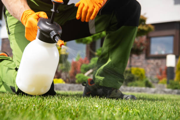 Best Affordable Pest Control Services  in Hartville, OH